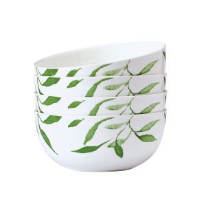 Akira Vegan Bone? Set of 4 Soup Cereal Bowls